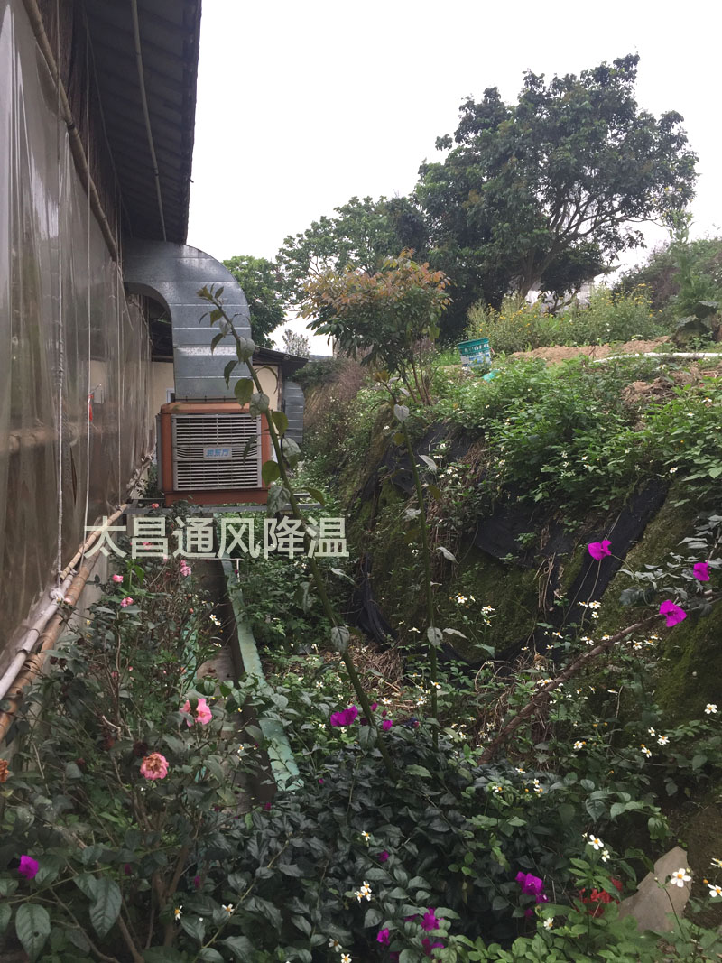 天气太热?环保空调为你的餐厅守护清凉